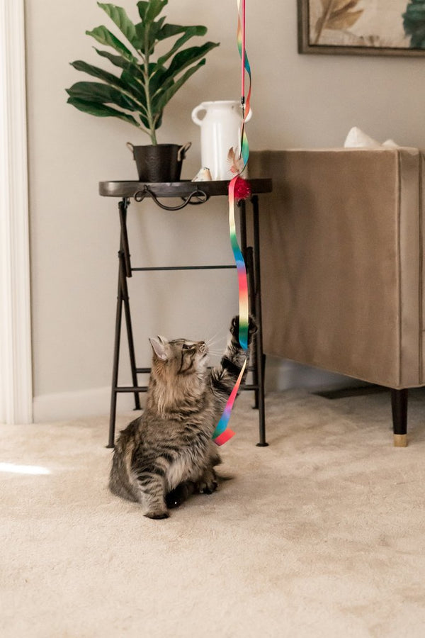 Interactive Cat Toy Collection