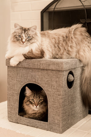Three Secrets to Choosing the Perfect Cat Bed