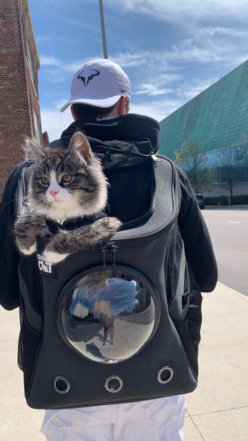 Vt cat backpack cheap