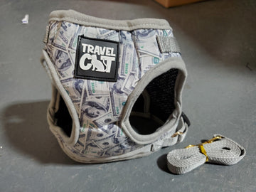 "Cash Cat" Limited Edition Harness & Leash Set
