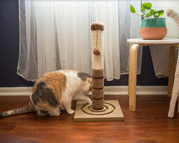 "The 2 in 1" Cat Scratcher and Ball Toy