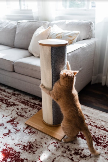 "The Big Boy" Sisal & Felt Cat Tree Scratcher