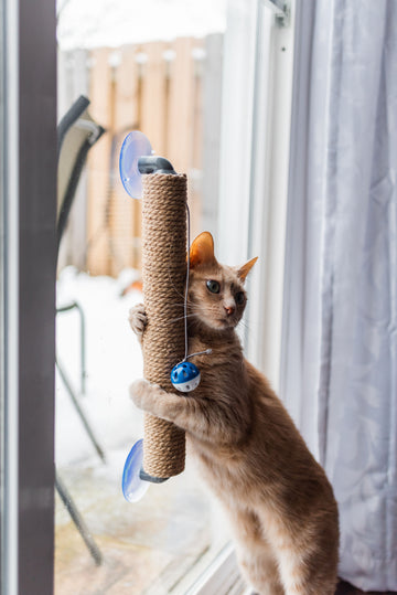 "The Window Wall Post" Cat Scratcher