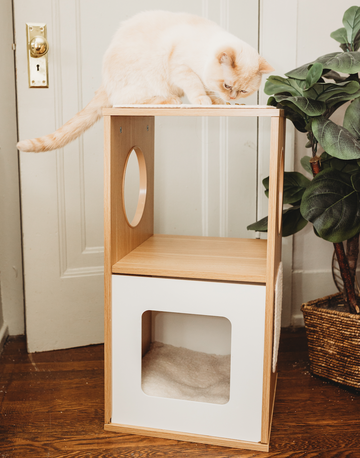 "The Cozy Hideaway" Cat Bed Shelf & Scratcher