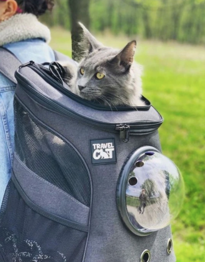 Chubby Cat. Backpack by Lemon in the sky