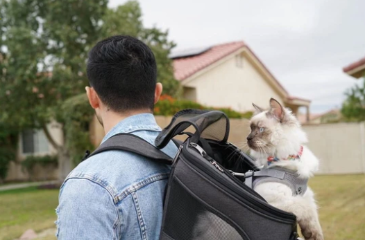 The Fat Cat Cat Backpack(For Larger Cats) - Bubble Pet Carrier Aqua