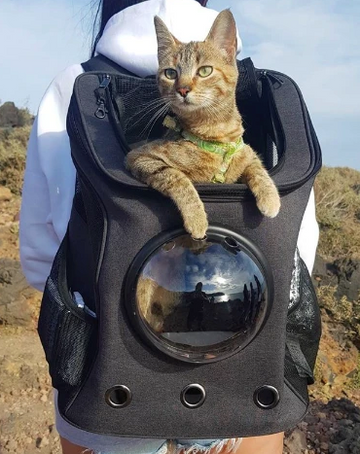 "The Fat Cat" Cat Backpack - For Larger Cats