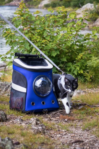 Jackson galaxy top cat backpack