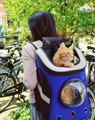 The Jackson Galaxy Convertible Cat Backpack Carrier Cat Culture