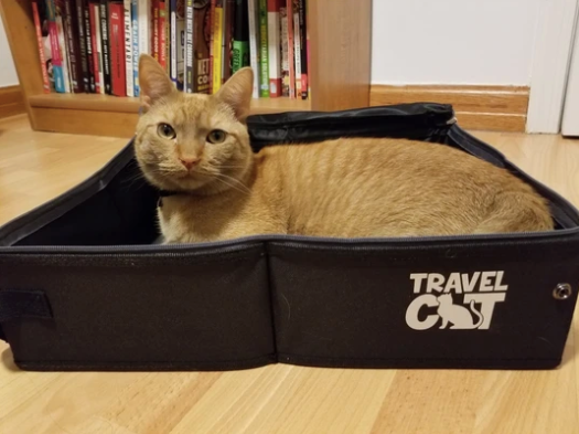 Cat litter top for travel