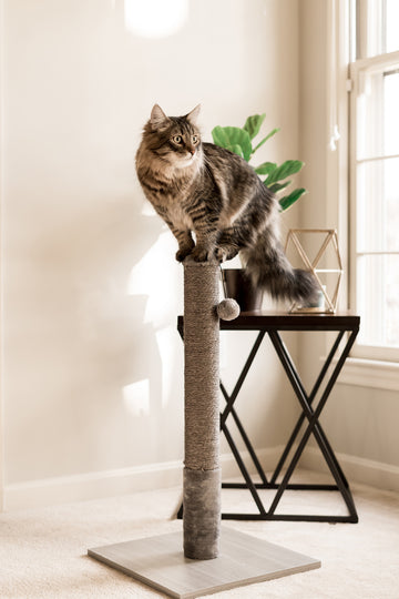 "The Classic" Grey Cat Scratcher